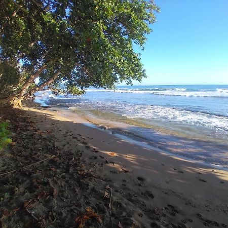 Escape Caribeno Hotel Puerto Viejo de Talamanca Luaran gambar
