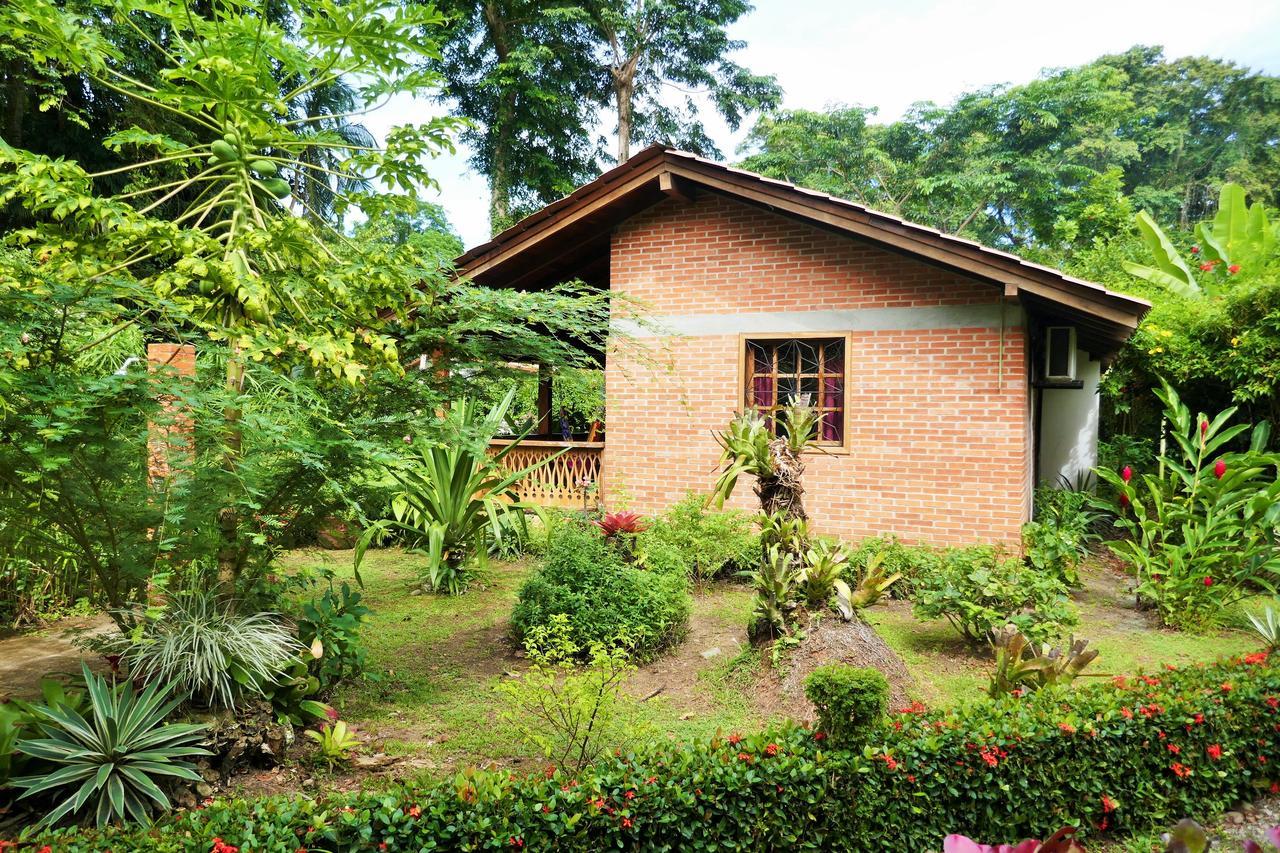 Escape Caribeno Hotel Puerto Viejo de Talamanca Luaran gambar