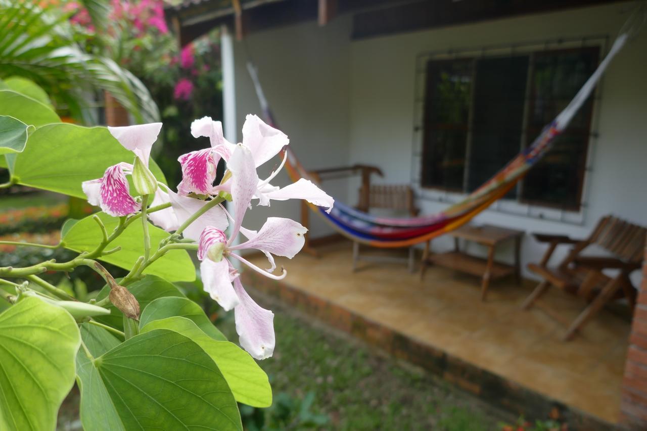 Escape Caribeno Hotel Puerto Viejo de Talamanca Luaran gambar