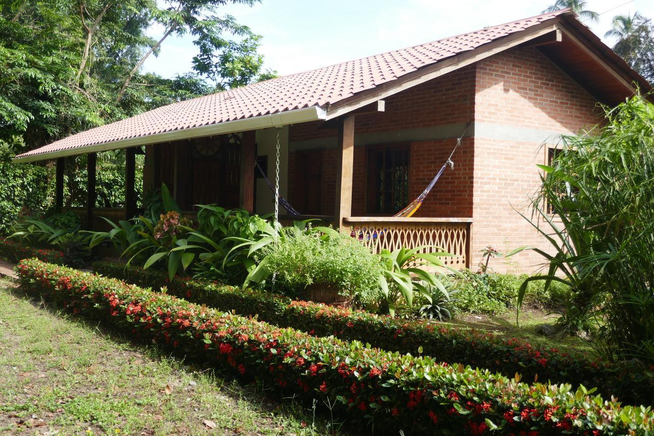 Escape Caribeno Hotel Puerto Viejo de Talamanca Luaran gambar