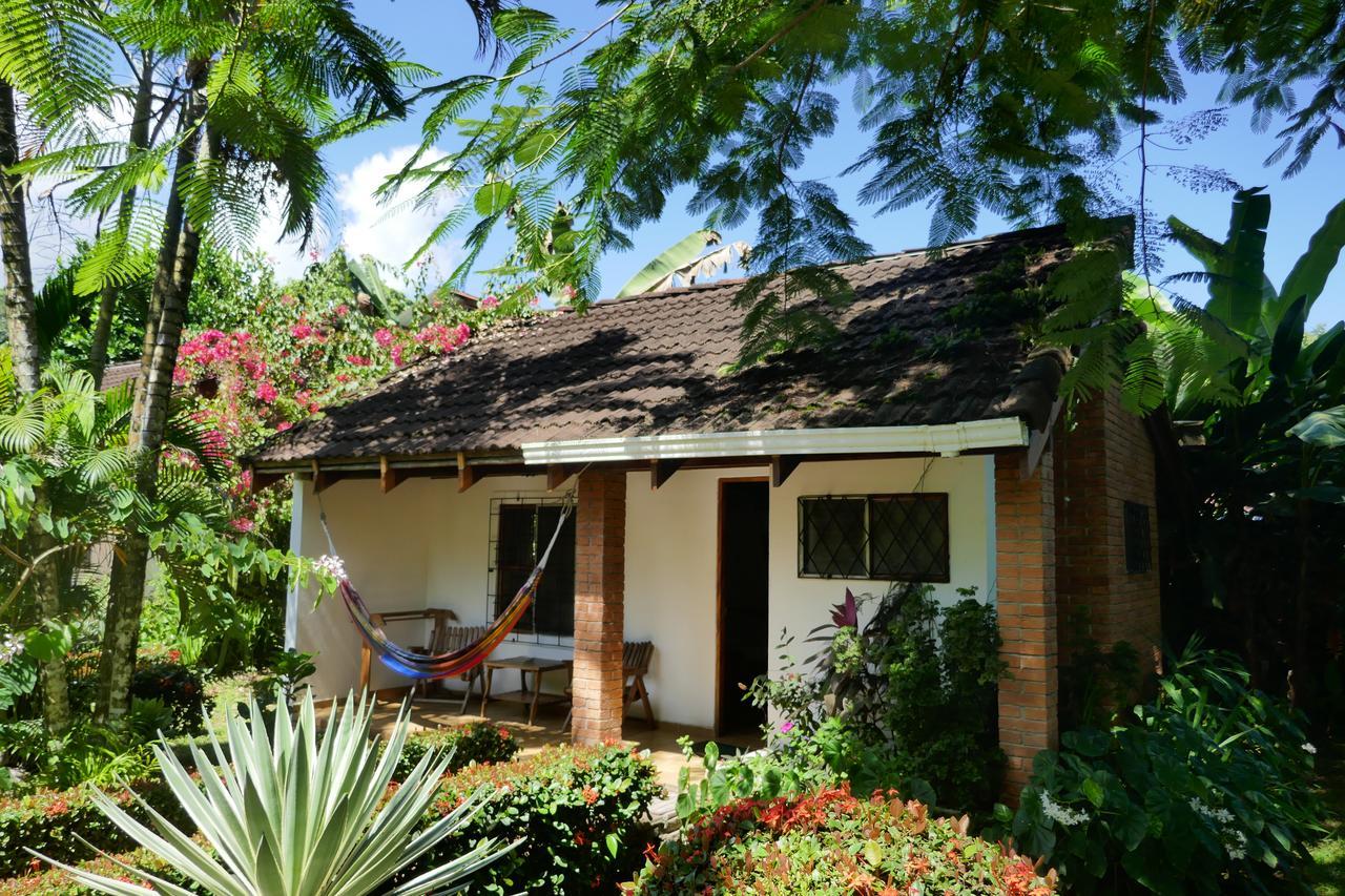 Escape Caribeno Hotel Puerto Viejo de Talamanca Luaran gambar