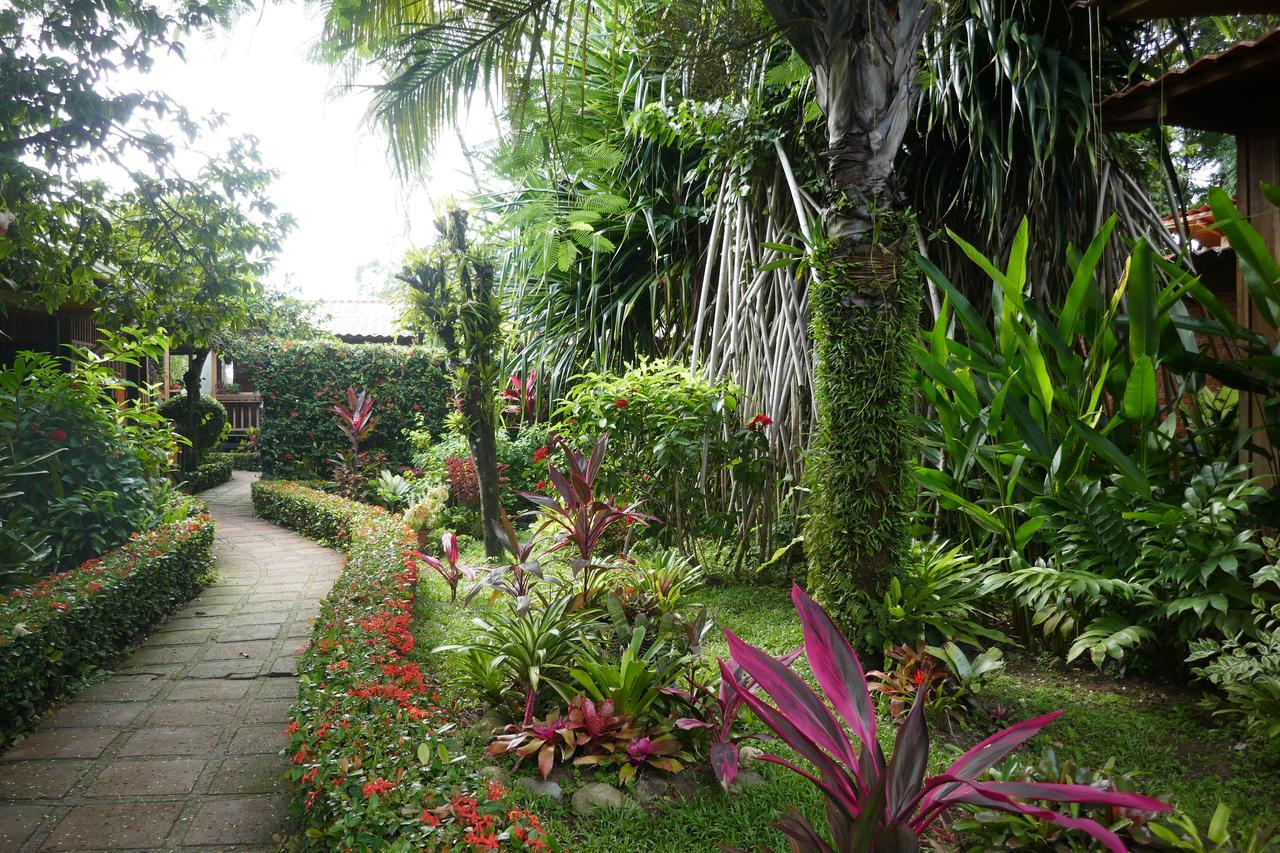 Escape Caribeno Hotel Puerto Viejo de Talamanca Luaran gambar